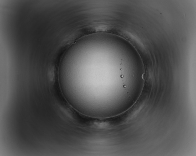 X0000093110311200710031321