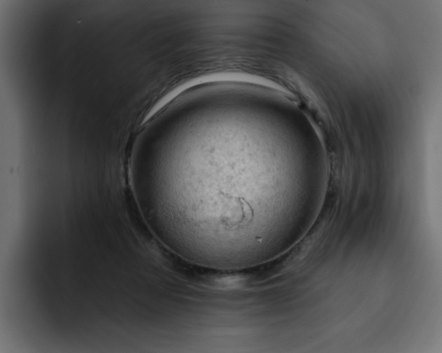 X0000093110313200710031321