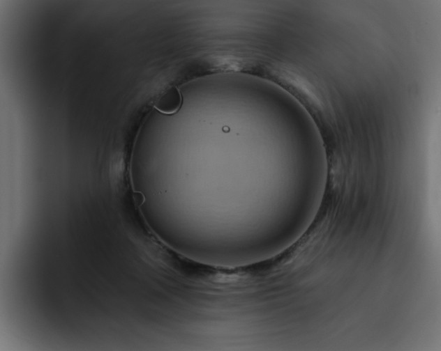X0000093110314200710031321