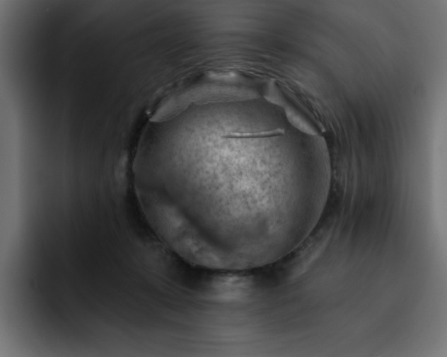 X0000093110319200710031320