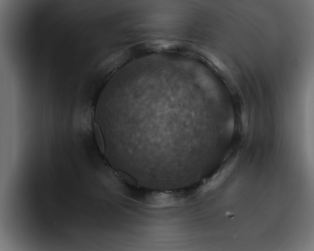 X0000093110325200710031320