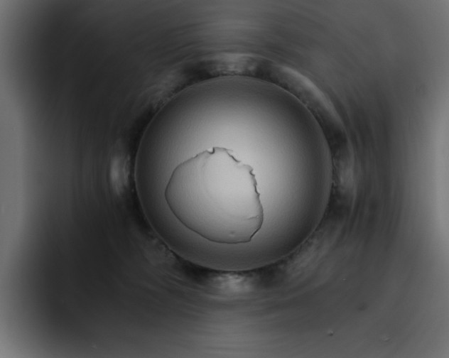 X0000093110326200710031320