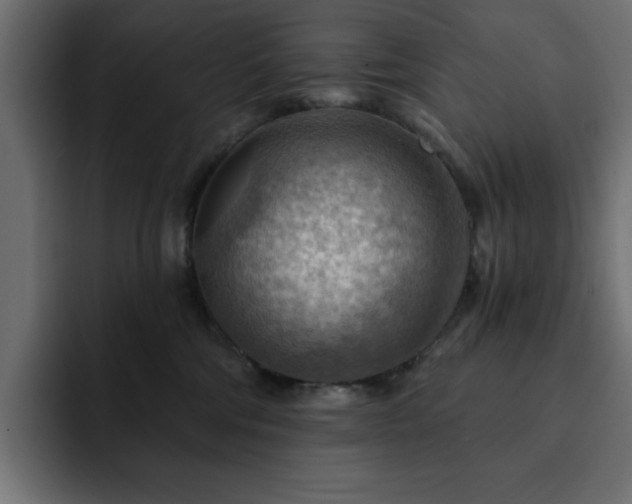 X0000093110330200710031320