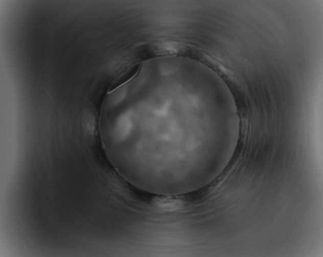 X0000093110331200710031320