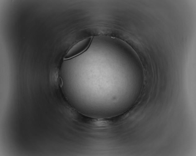 X0000093110336200710031320