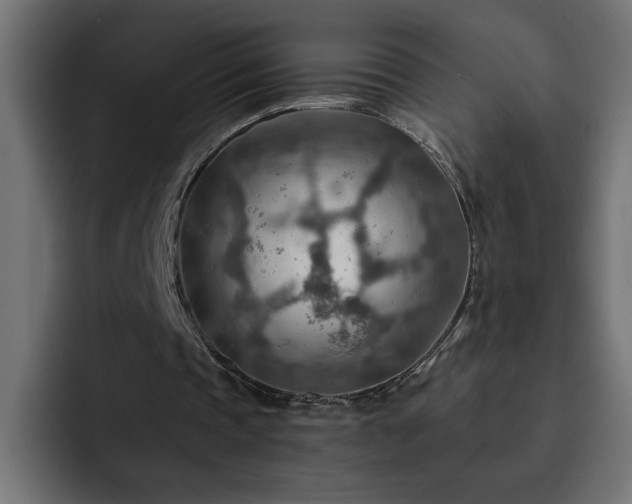 X0000093110337200710031320