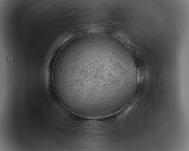 X0000093110339200710031320