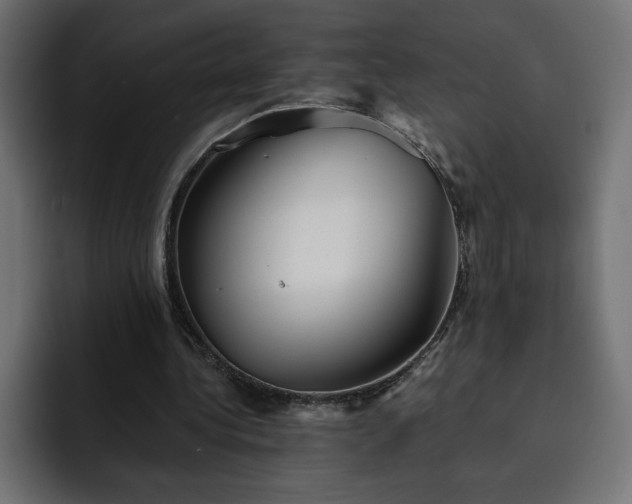 X0000093110340200710031320