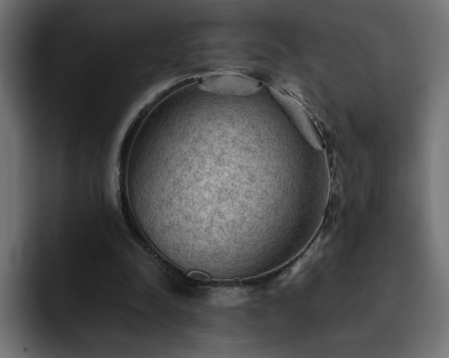 X0000093110342200710031320