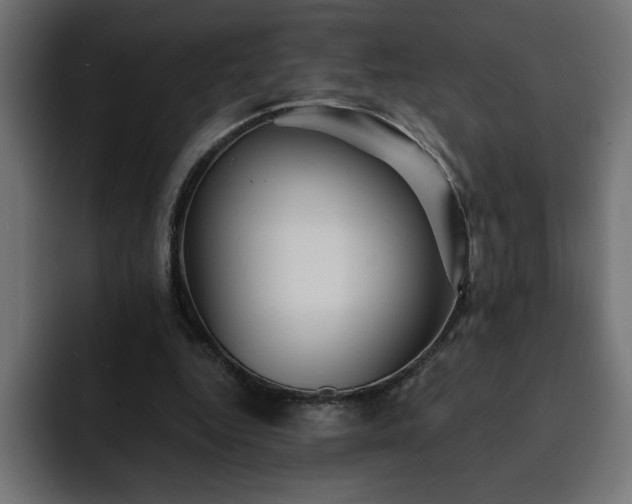X0000093110344200710031320