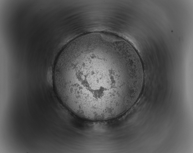 X0000093110345200710031320