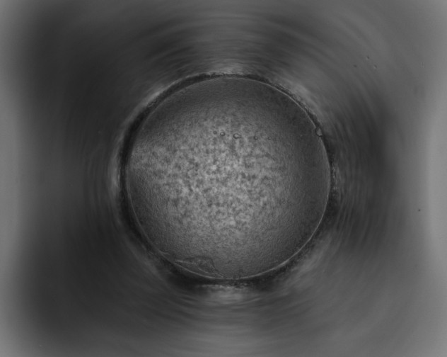 X0000093110347200710031320
