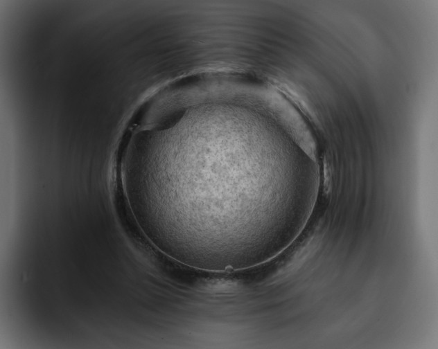 X0000093110348200710031320