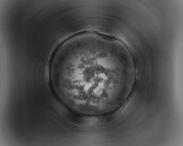 X0000093110349200710031320