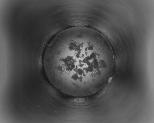X0000093110353200710031320