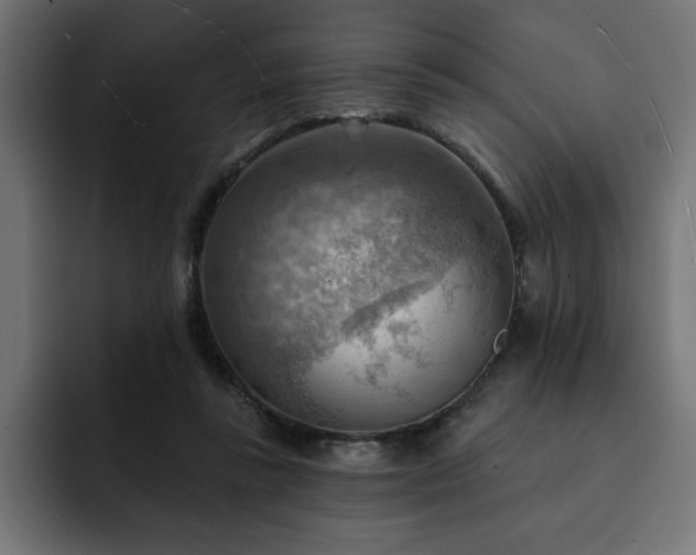 X0000093110355200710031320