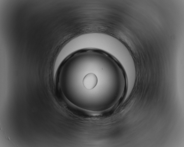 X0000093110356200710031320