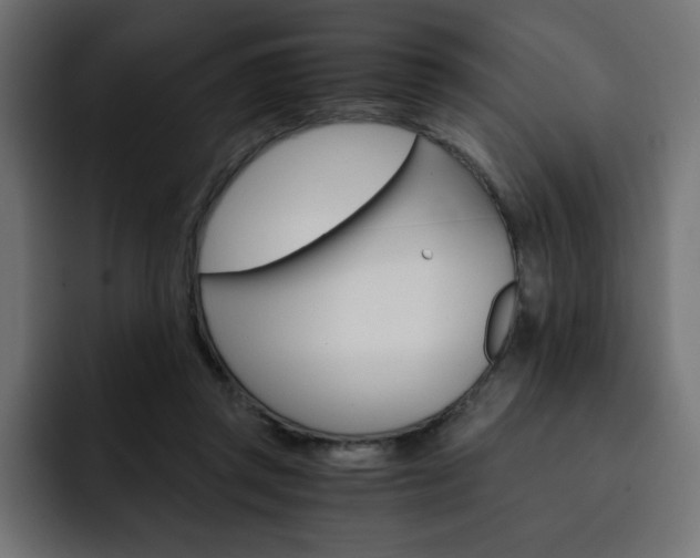 X0000093110357200710031320