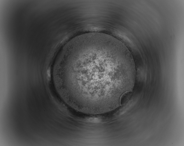 X0000093110358200710031320