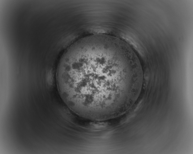 X0000093110359200710031320