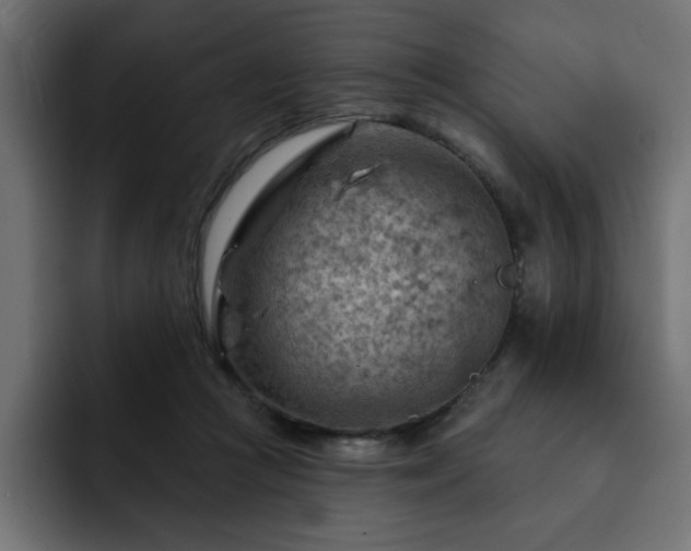 X0000093110361200710031320