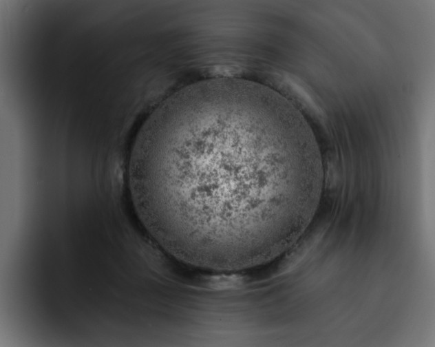 X0000093110363200710031320