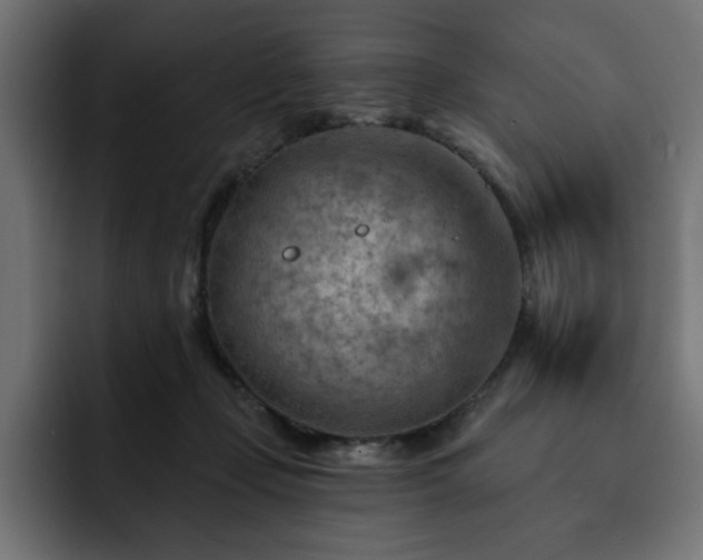 X0000093110365200710031320
