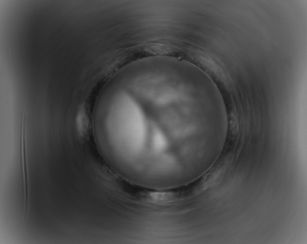 X0000093110371200710031320