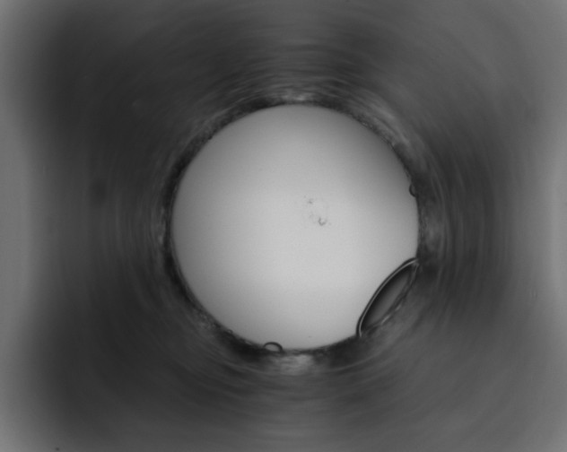 X0000093110374200710031320