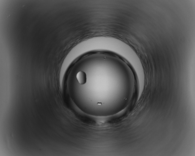 X0000093110376200710031320