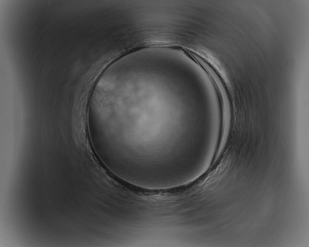 X0000093110385200710031320