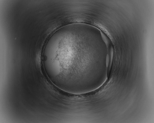 X0000093110386200710031320