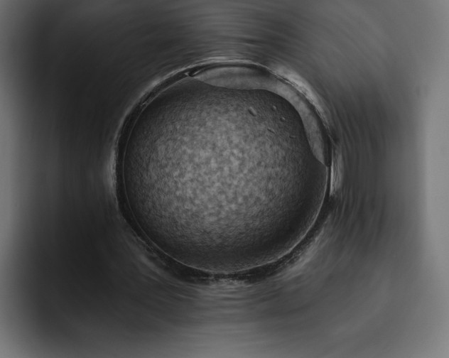 X0000093110387200710031320