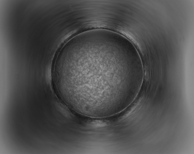 X0000093110390200710031320