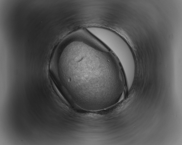 X0000093110393200710031320