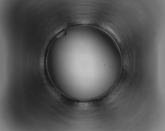 X0000093110394200710031320