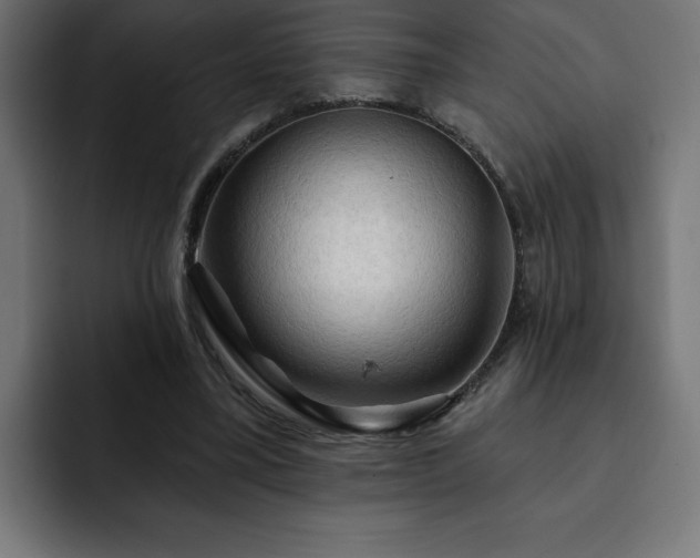 X0000093110395200710031320