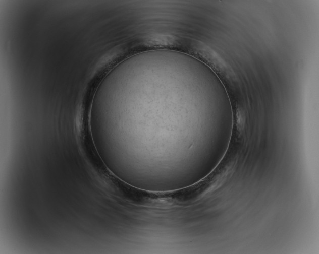 X0000093110396200710031320