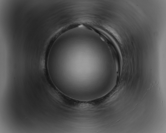 X0000093110399200710031320