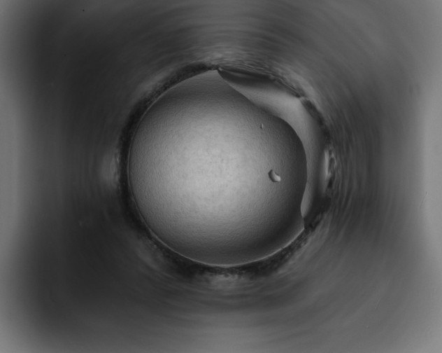 X0000093110400200710031320