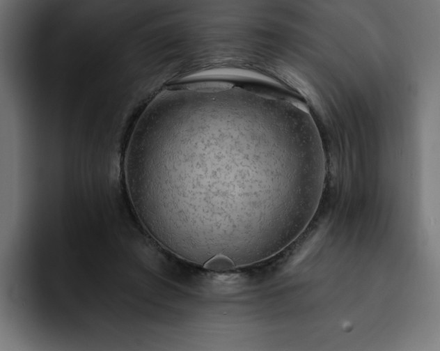 X0000093110401200710031320