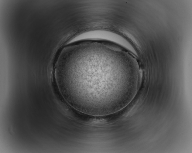 X0000093110403200710031319