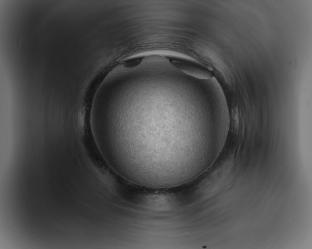 X0000093110404200710031319