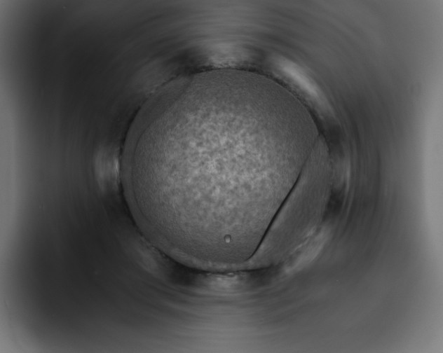 X0000093110405200710031319