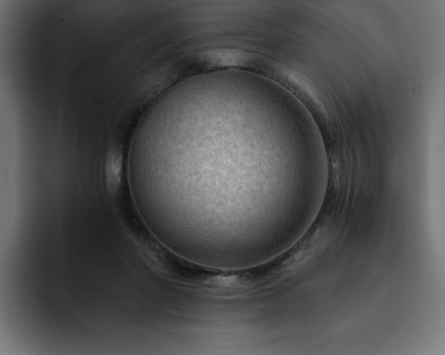 X0000093110406200710031319