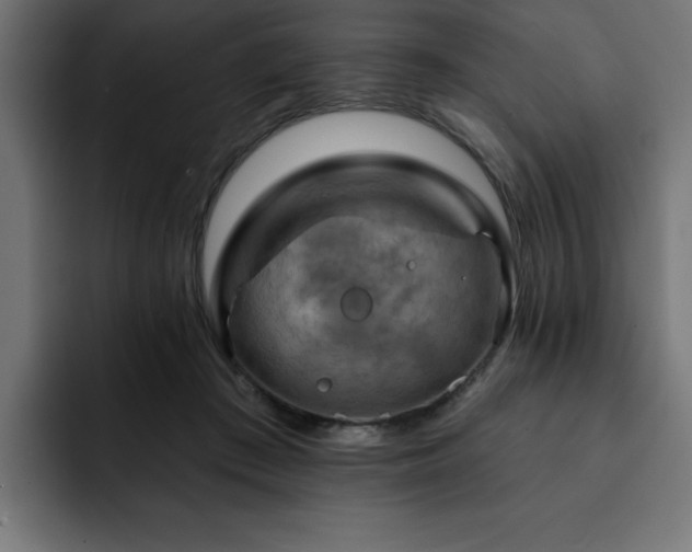 X0000093110409200710031319