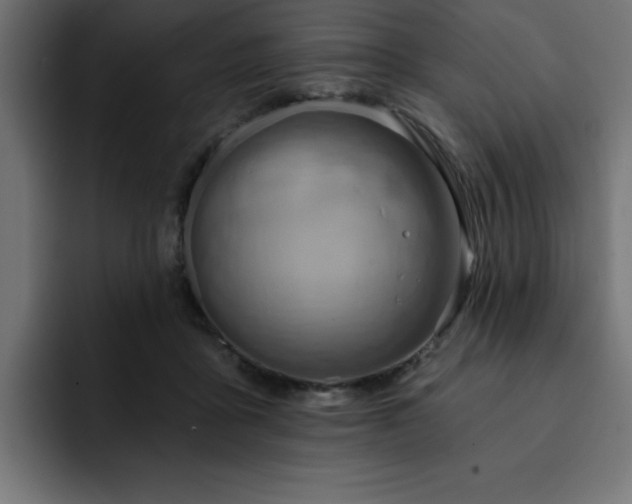 X0000093110411200710031319