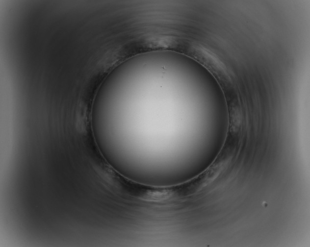 X0000093110414200710031319