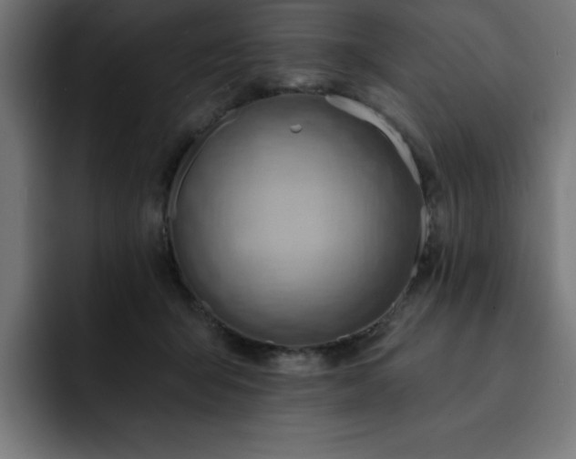 X0000093110415200710031319