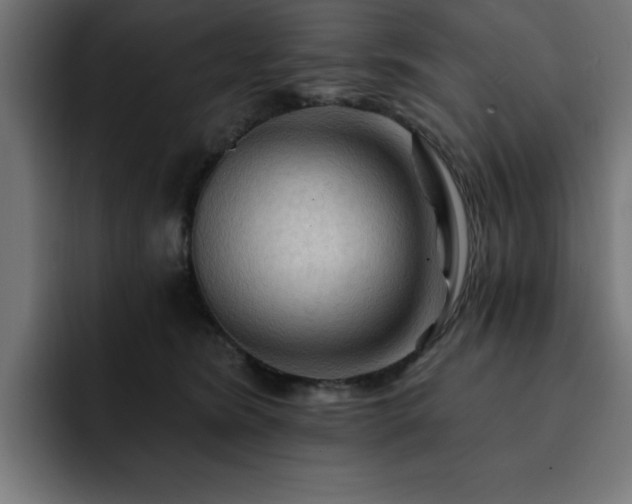 X0000093110420200710031319